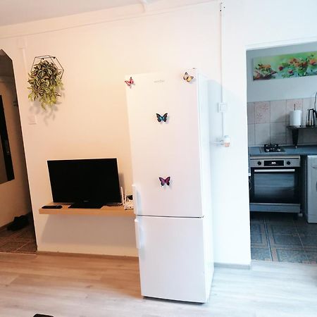 דבה Romanilor - Studio First Floor מראה חיצוני תמונה