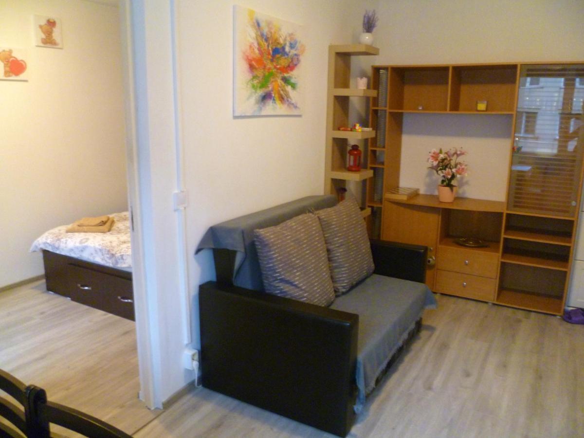 דבה Romanilor - Studio First Floor מראה חיצוני תמונה