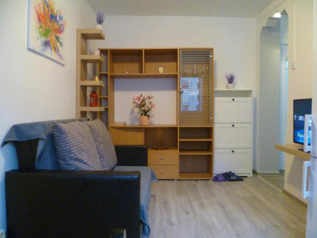 דבה Romanilor - Studio First Floor מראה חיצוני תמונה