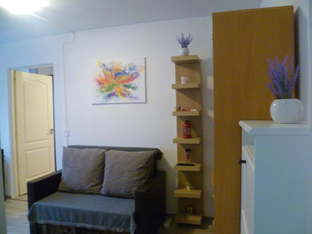 דבה Romanilor - Studio First Floor מראה חיצוני תמונה