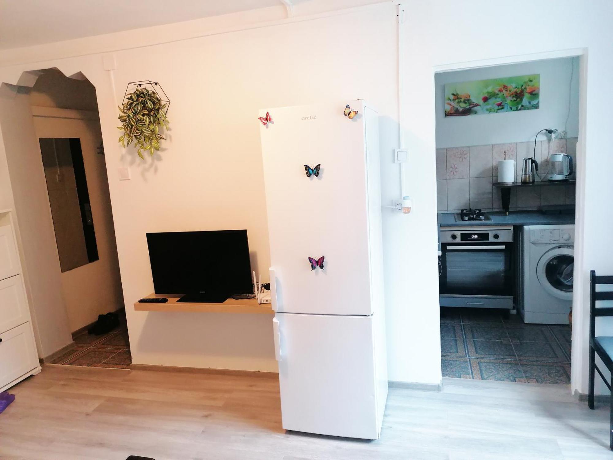 דבה Romanilor - Studio First Floor מראה חיצוני תמונה