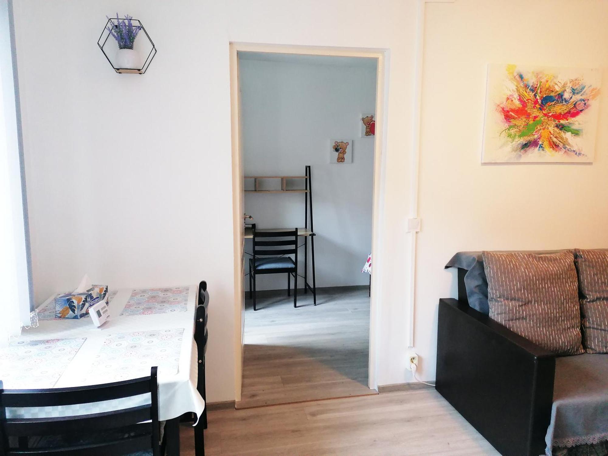 דבה Romanilor - Studio First Floor מראה חיצוני תמונה